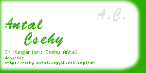 antal csehy business card